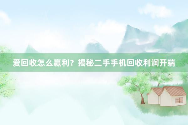 爱回收怎么赢利？揭秘二手手机回收利润开端